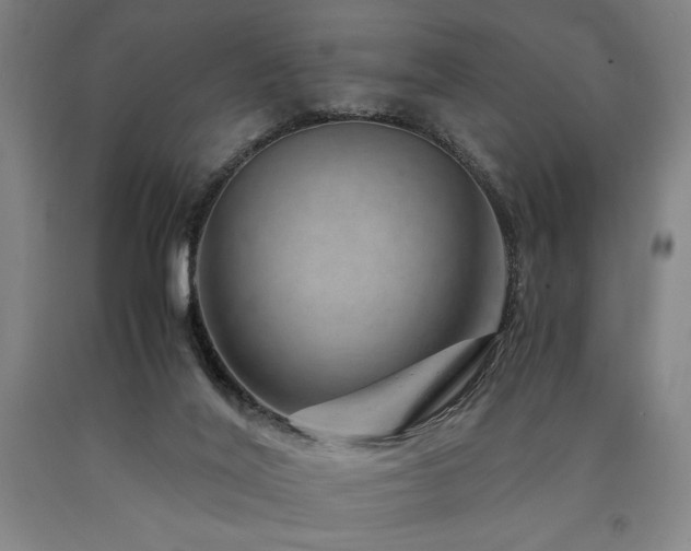 X0000090900020200707301422
