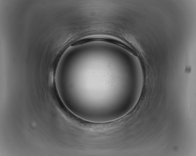 X0000090900021200707301422