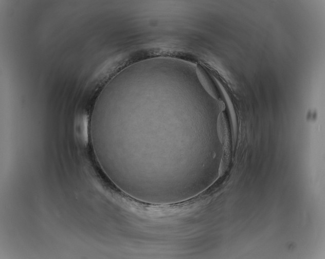X0000090900022200707301422