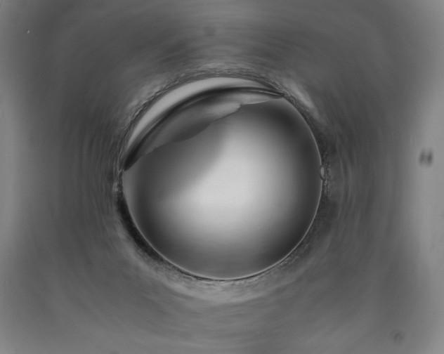 X0000090900023200707301422