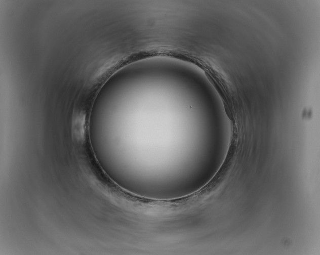 X0000090900024200707301422