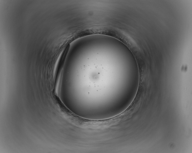 X0000090900025200707301422