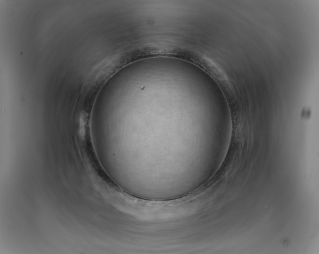 X0000090900026200707301422