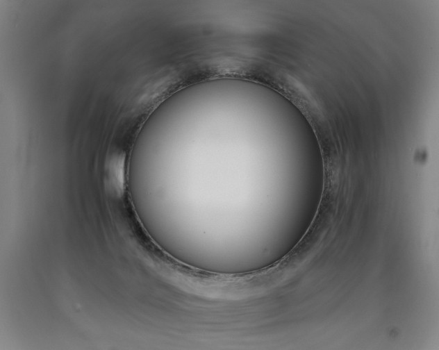 X0000090900028200707301422