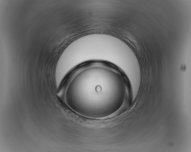 X0000090900029200707301422