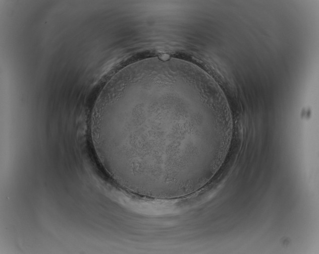 X0000090900032200707301422
