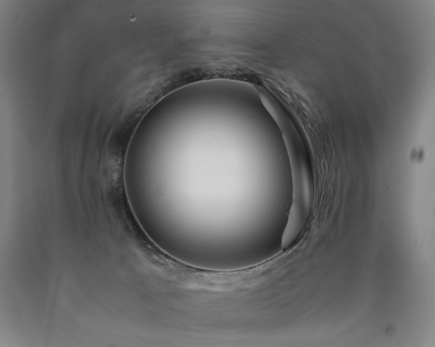 X0000090900033200707301422