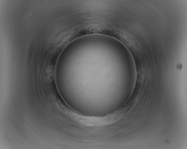 X0000090900034200707301422