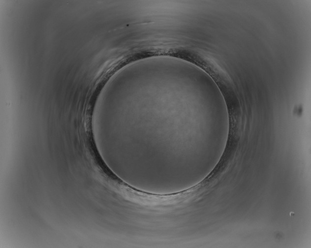 X0000090900035200707301422