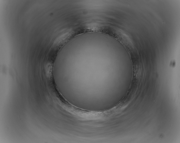 X0000090900036200707301422
