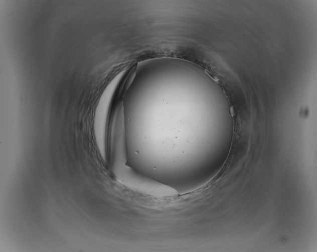 X0000090900037200707301422