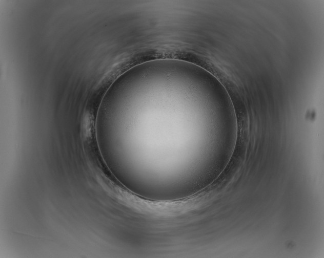 X0000090900038200707301422