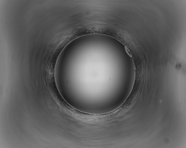 X0000090900040200707301422
