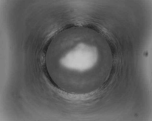 X0000090900043200707301422
