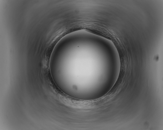 X0000090900044200707301422