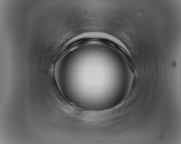 X0000090900045200707301422