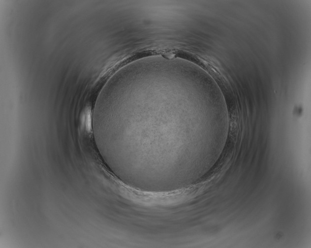 X0000090900046200707301422