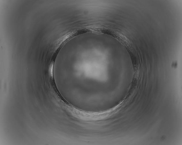 X0000090900047200707301422