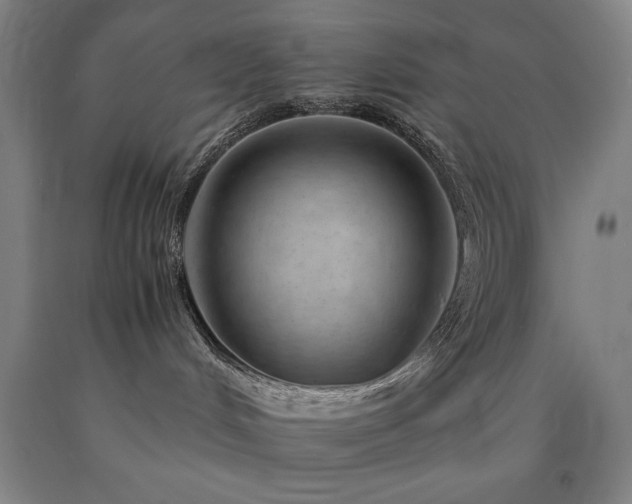 X0000090900048200707301422
