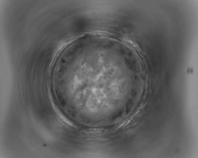 X0000090900049200707301421