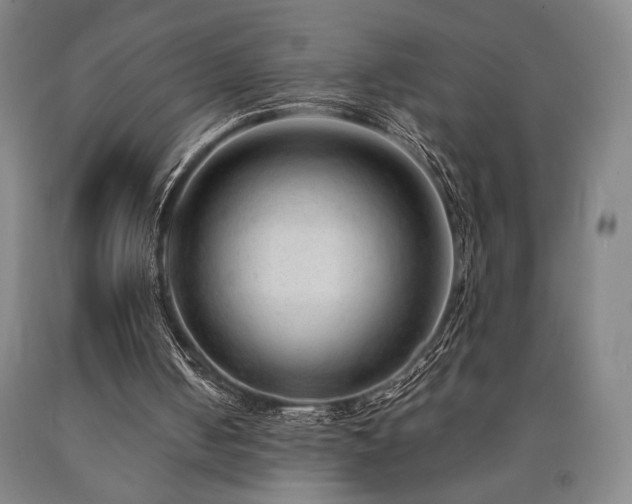 X0000090900050200707301421