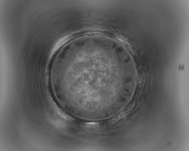 X0000090900053200707301421