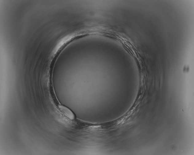 X0000090900054200707301421