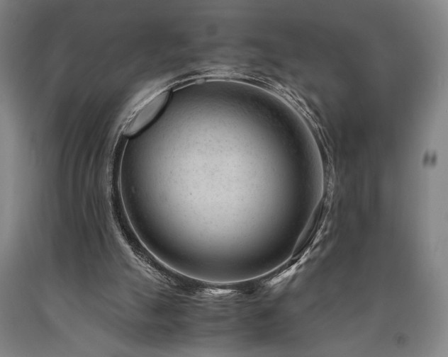 X0000090900055200707301421