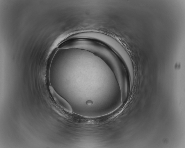 X0000090900056200707301421