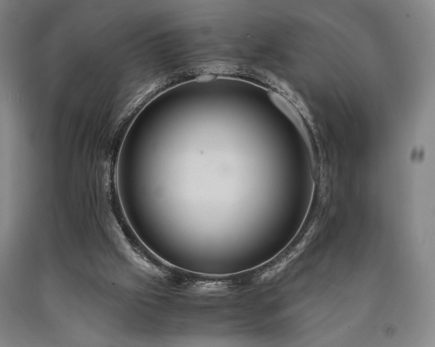 X0000090900057200707301421