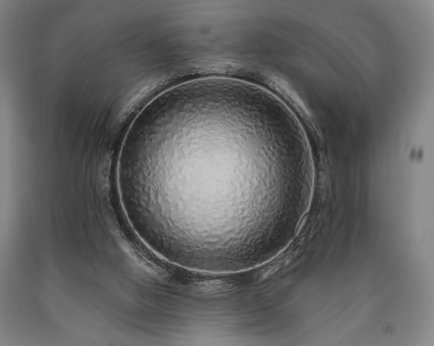 X0000090900058200707301421