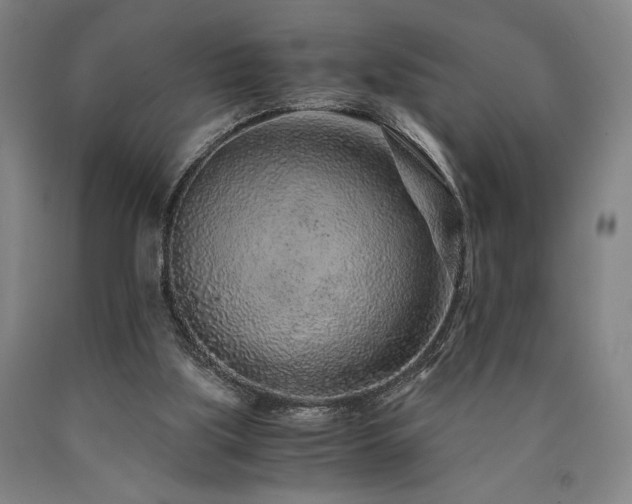 X0000090900059200707301422