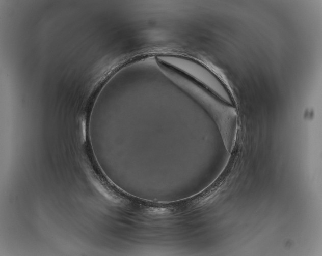 X0000090900061200707301422