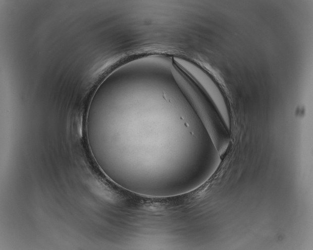 X0000090900062200707301422