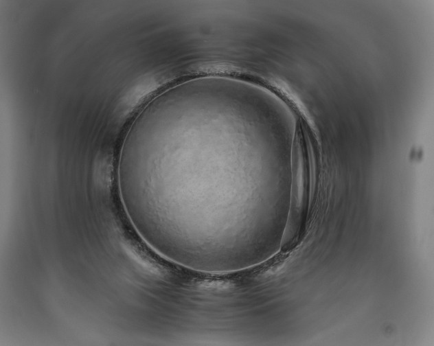 X0000090900063200707301422