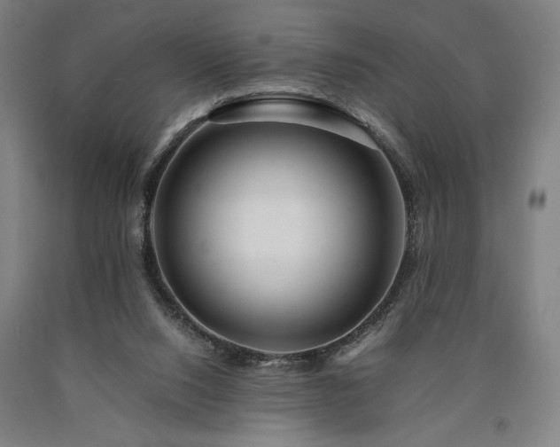 X0000090900064200707301422