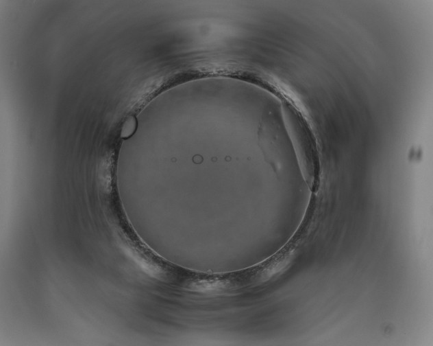X0000090900065200707301422
