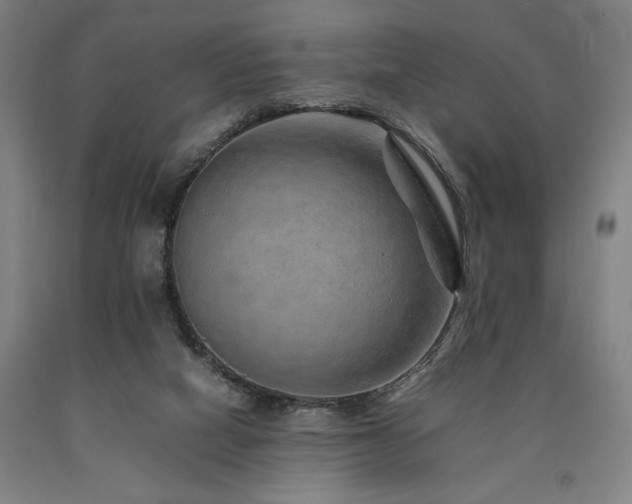 X0000090900066200707301422