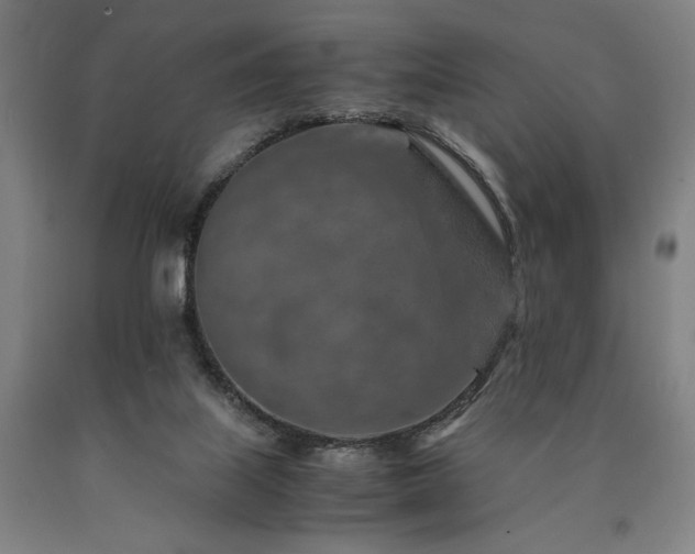 X0000090900067200707301422
