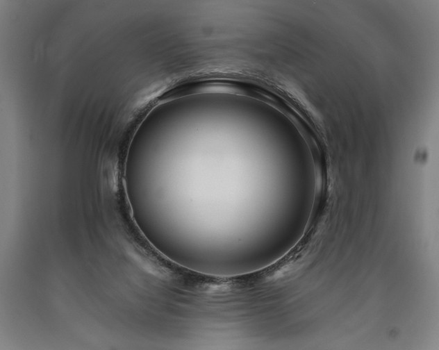 X0000090900068200707301422