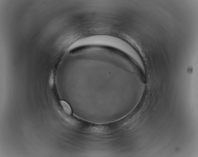 X0000090900069200707301422