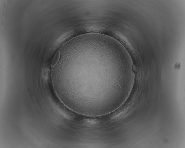 X0000090900071200707301422