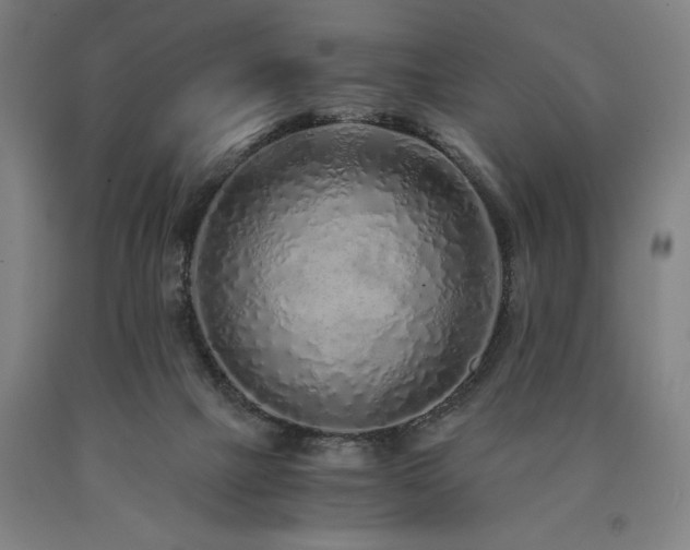 X0000090900073200707301422