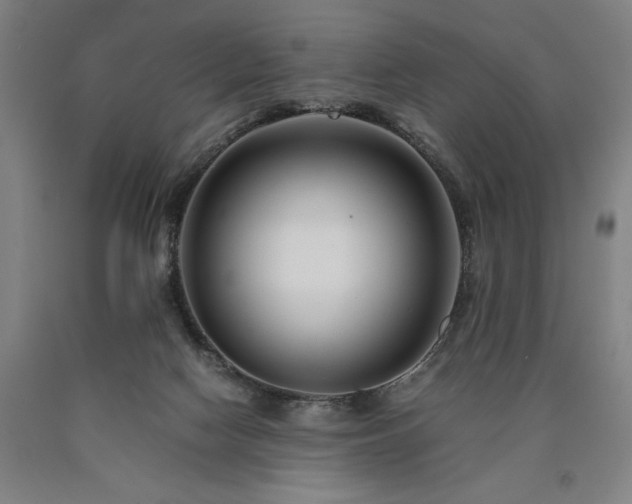 X0000090900074200707301422