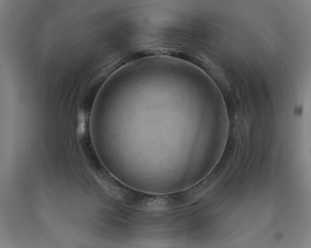 X0000090900075200707301422