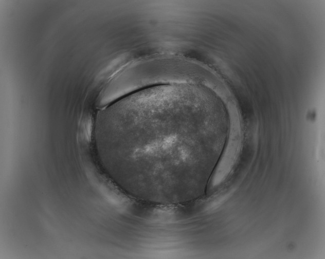 X0000090900076200707301422