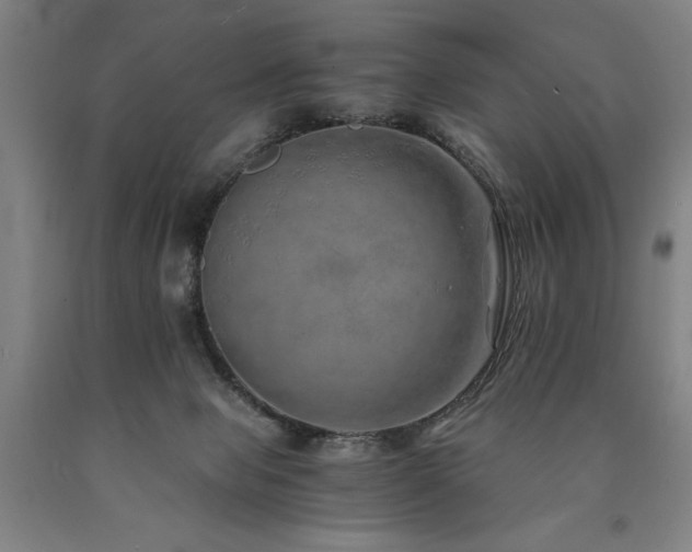 X0000090900077200707301422