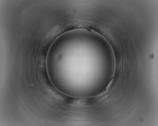 X0000090900078200707301422