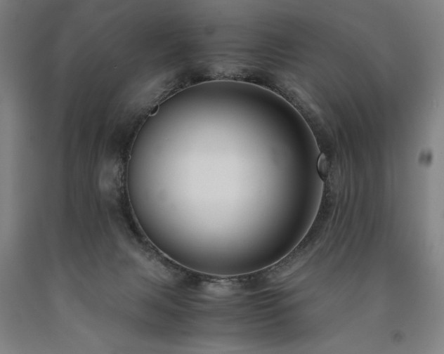X0000090900079200707301422