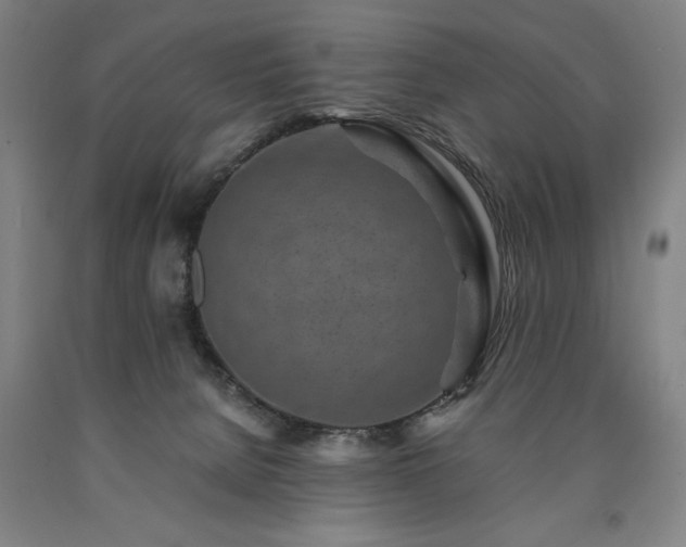X0000090900080200707301422